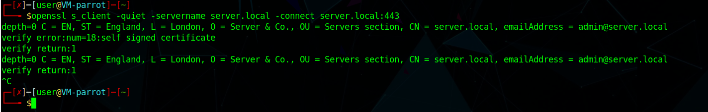 OpenSSL s_client to the server